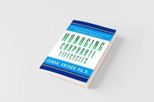 Managing Corporate Lifecycles