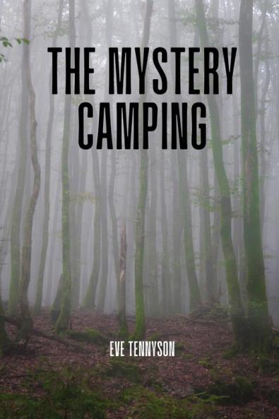 The mystery camping