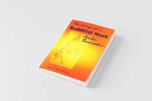 Teachings of a Buddhist Monk