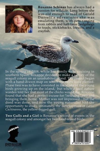 Two Gulls and a Girl: A Study of a Seagull Colony by a 10 Year Old Naturalist