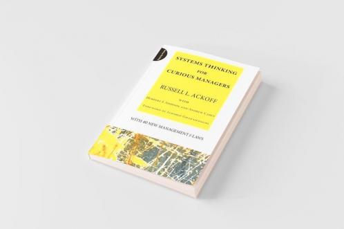 Systems Thinking for Curious Managers