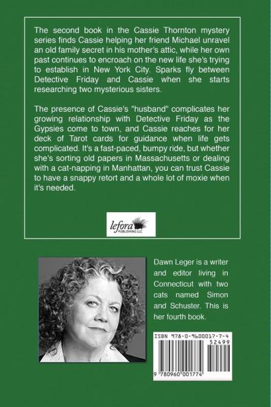 Freeing the Magician: A Cassie Thornton Mystery: 2 (Cassie Thornton Mysteries)