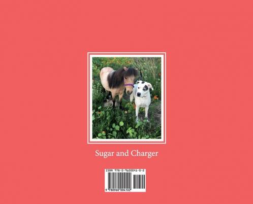 My Name is Sugar