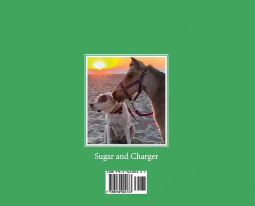 The Sugar Shack
