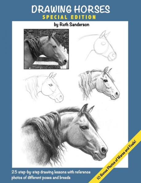 DRAWING HORSES