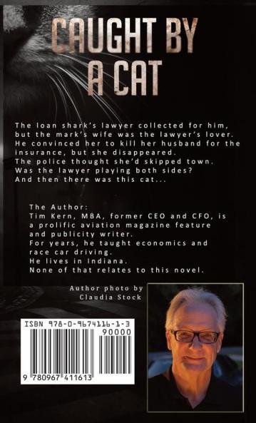 Caught by a Cat: Not a Childrens' Book: 001 (Mystery One)
