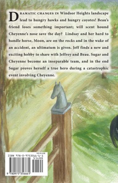 Windsor Heights Book 6