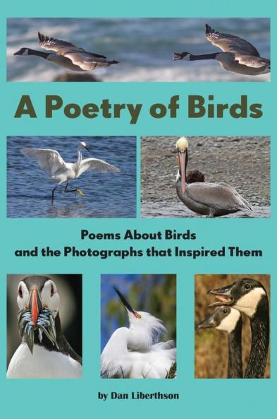 A Poetry of Birds
