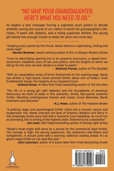 The Amendment Killer: 1 (Brooks/Lotello Thriller)