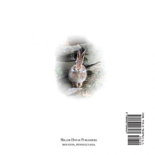 A Bunny's Sojourn