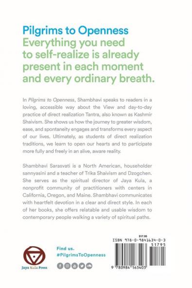 Pilgrims to Openness: Direct Realization Tantra in Everyday Life