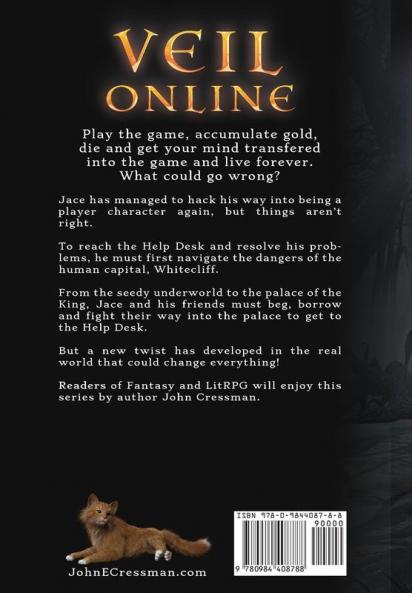 Veil Online - Book 2