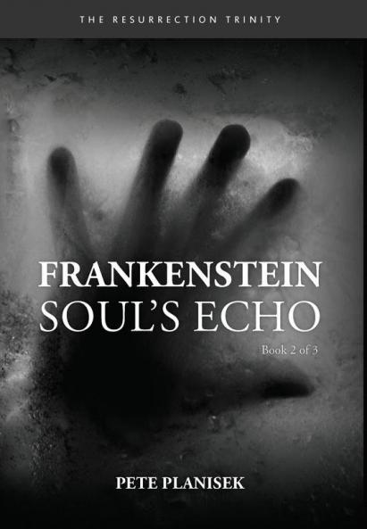 Frankenstein Soul's Echo