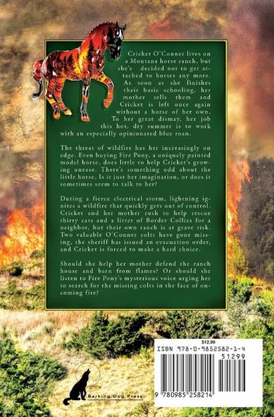 Fire Pony