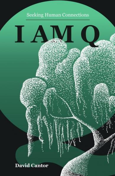 I Am Q