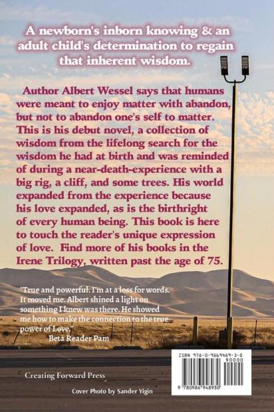The Musings of a Schizophrenic Truck Driver