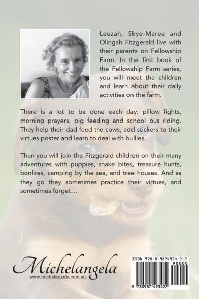 Fellowship Farm 1: Books 1-3