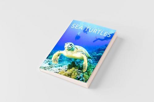 Sea Turtles