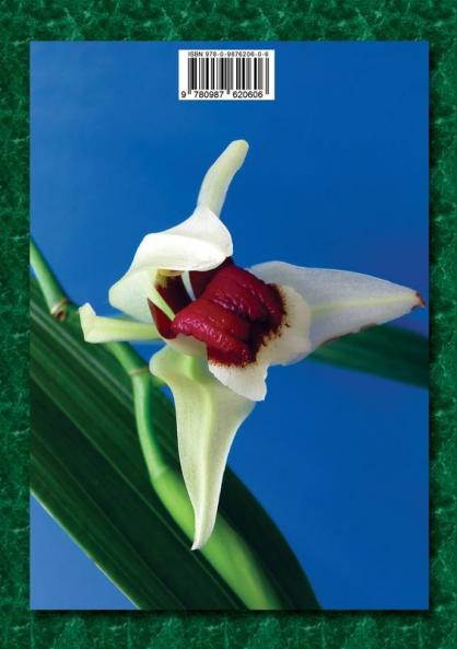 Checklist of Papuasian Orchids