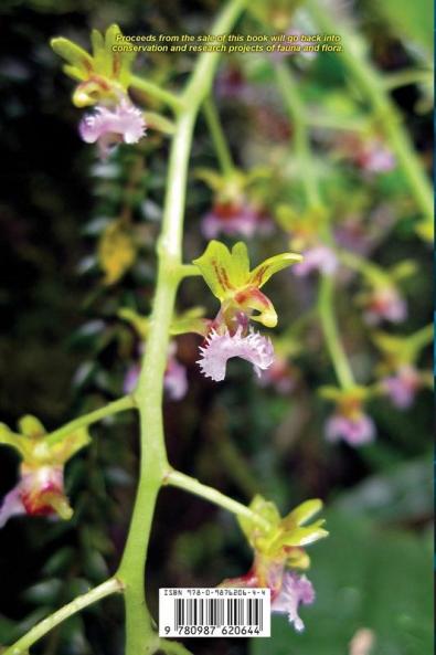 Photo Intro to: Vandoid Orchid Genera in Asia