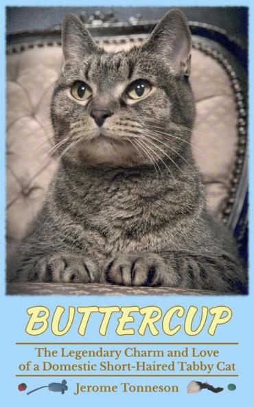 Buttercup - The Legendary Charm and Love of a Domestic Short-Haired Tabby Cat