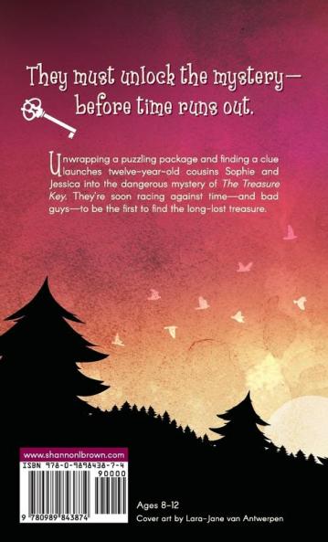 The Treasure Key: (The Crime-Solving Cousins Mysteries Book 2)