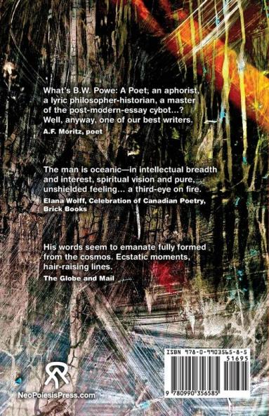 Decoding Dust