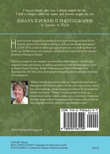 Look Up!: Musings on the Nature of Mindfulness