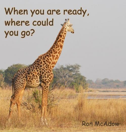 When you are ready where could you go?