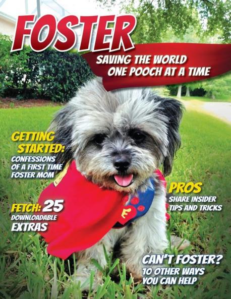 Foster: Saving the World One Pooch at a Time or 10 Other Ways You Can Help!