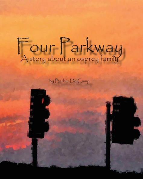 Four Parkway: A story about an osprey family
