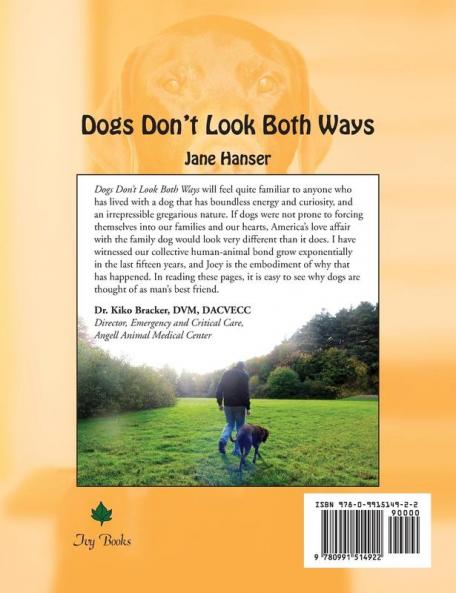 Dogs Don't Look Both Ways