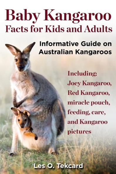 Baby Kangaroo Facts for Kids and Adults