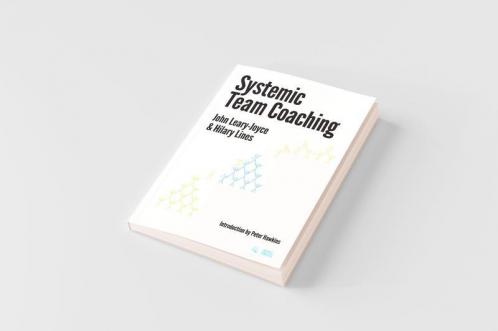 Systemic Team Coaching