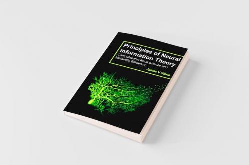 Principles of Neural Information Theory