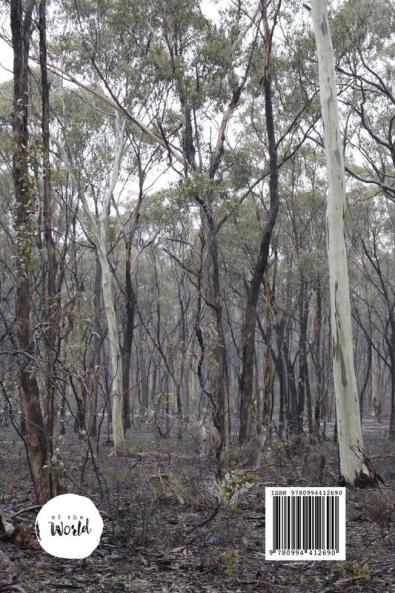 Artist Spaces Of The Victorian Goldfields