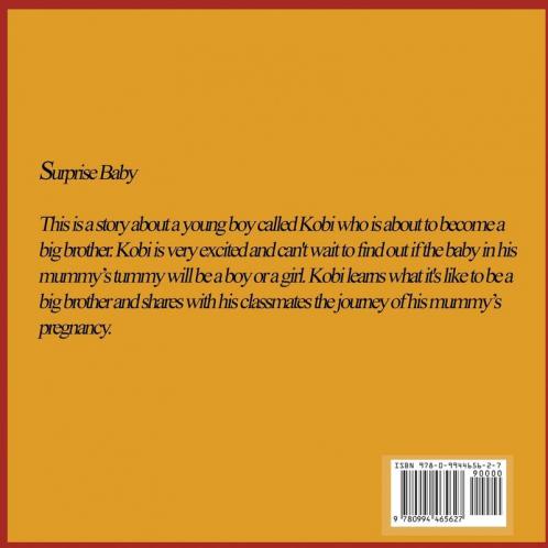 Surprise Baby: The Colourful Life!