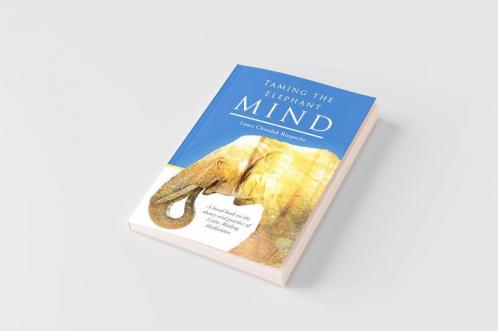 Taming the Elephant Mind