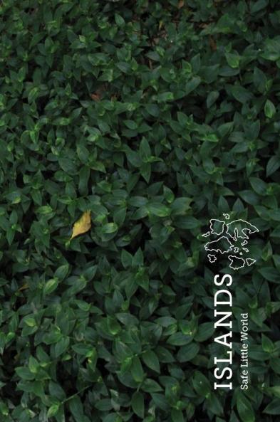 Islands (Special Edition): 1 (Safe Little World Monographs)