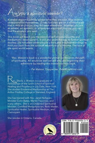 Seeking Spirits: A Sensitive's Journey: How I Learned to Work With the Spirit World