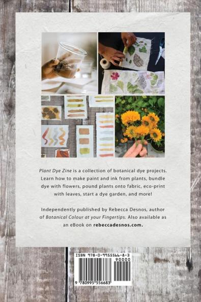 Plant Dye Zine