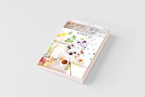 Plant Dye Zine