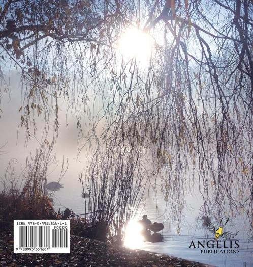 In Loving Memory Funeral Guest Book Memorial Guest Book Condolence Book Remembrance Book for Funerals or Wake Memorial Service Guest Book: ... finish. A lasting memory for the family.