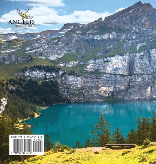 GUEST BOOK (Hardback) Visitors Book Guest Comments Book Vacation Home Guest Book Cabin Guest Book Visitor Comments Book House Guest Book: ... ski lodges B&Bs Airbnbs guest house