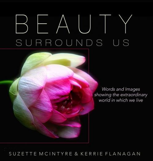 Beauty Surrounds Us