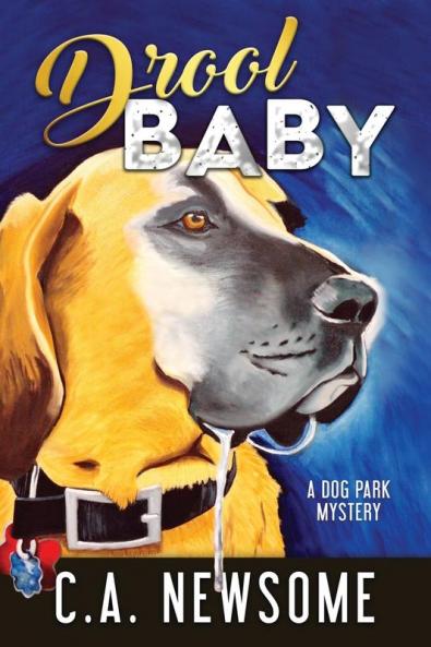Drool Baby: A Dog Park Mystery: 2 (Lia Anderson Dog Park Mysteries)