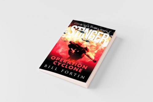 Stinger Operation Cyclone