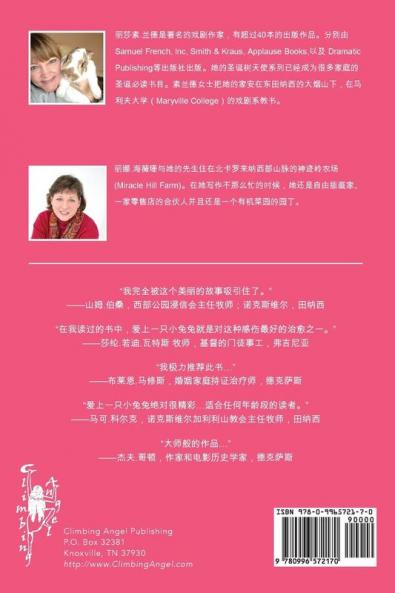 Somebunny to Love (Mandarin edition)