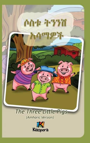 Sostu Tininish Asemawe'Ch - Amharic Children's Book