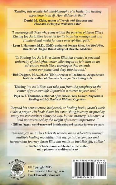 Kissing Joy As It Flies: A Journey in Search of Healing and Wholeness